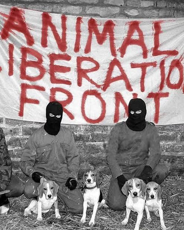 ANIMAL LIBERATION FRONT