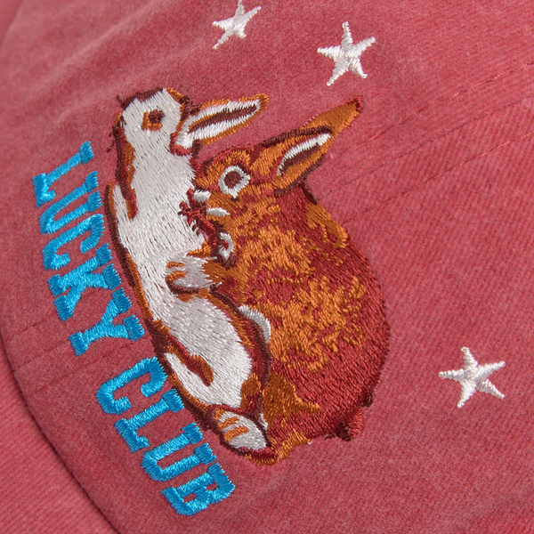 CARNE BOLLENTE - RACE TO THE FINISH CAP