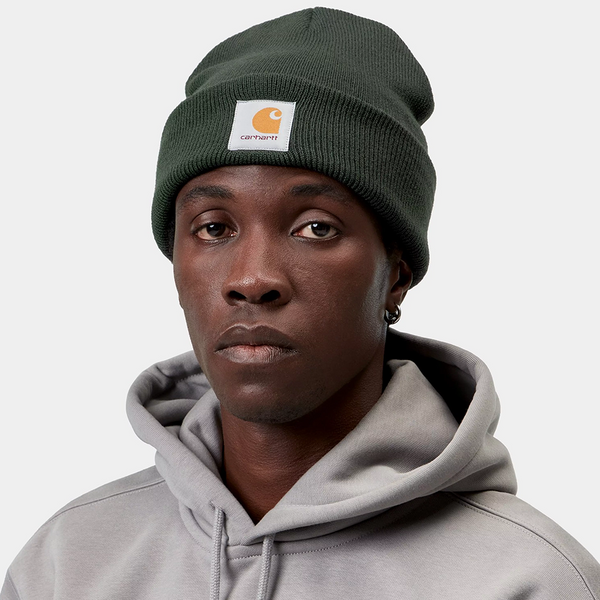 CARHARTT WIP - SHORT WATCH HAT DARK SCARAB