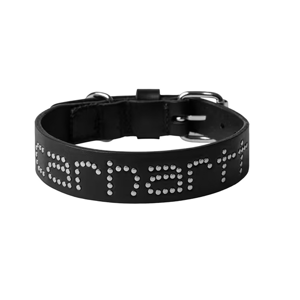 CARHARTT WIP - SCRIPT STUDS DOG COLLAR