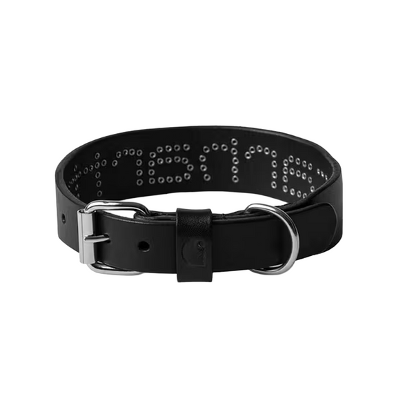CARHARTT WIP - SCRIPT STUDS DOG COLLAR