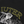 IUTER - DAMAGE TEE BLACK