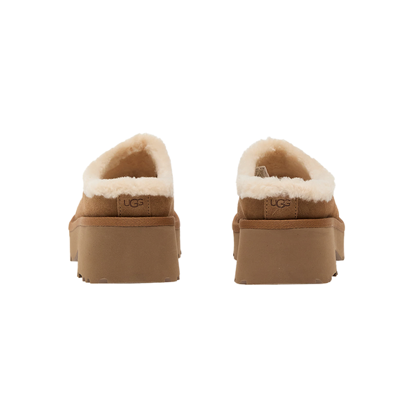 UGG - TASMAN CHESNUT