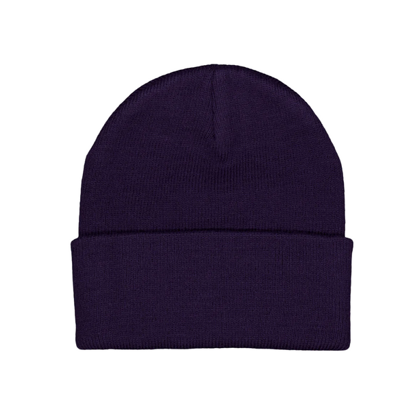 CARHARTT WIP - SHORT WATCH BEANIE CASSIS