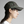 WASTED PARIS - CHEETAH CAP OLIVE CAMO